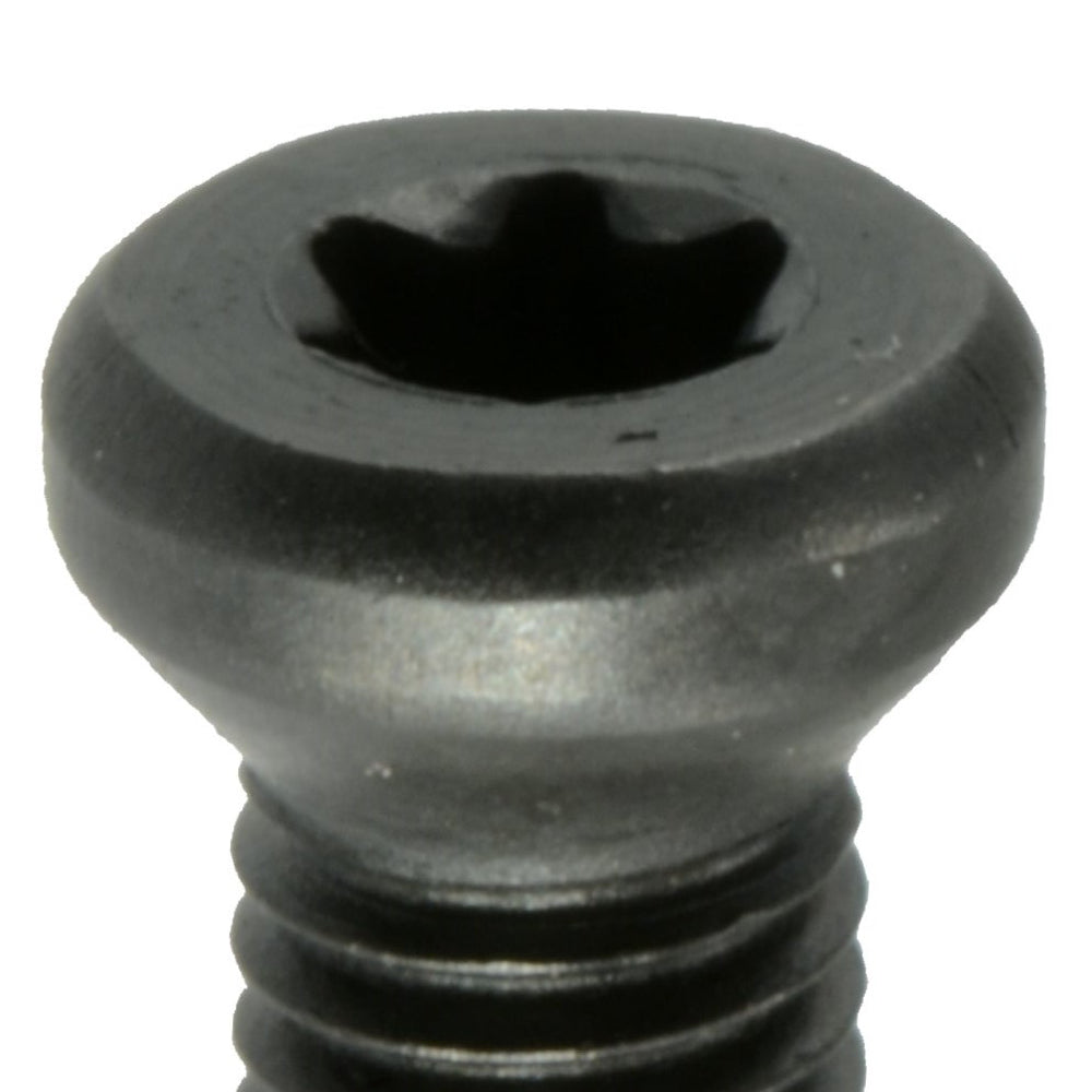 Small Weaver-Oval Head Torx Gun Screws Assortment