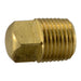 1/8" IP Brass Square Head Plugs