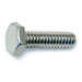1/4"-20 x 7/8" Polished 18-8 Stainless Steel Coarse Thread Hex Cap Screws