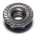 1/4"-20 18-8 Stainless Steel Coarse Thread Serrated Lock Nuts