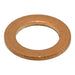 6mm x 10mm x 1mm Metric Copper Sealing Washers