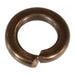 #8 x 5/32" x 9/32" Silicon Bronze Lock Washers