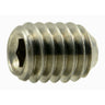 #6-40 x 3/16" 18-8 Stainless Steel Fine Thread Hex Socket Headless Set Screws