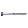 1/2" x 6" 18-8 Stainless Steel Hex Head Lag Screws