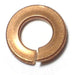 1/4" x 31/64" Bronze Split Lock Washers