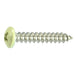 #8 x 1" Beige Painted 18-8 Stainless Steel Phillips Pan Head Sheet Metal Screws